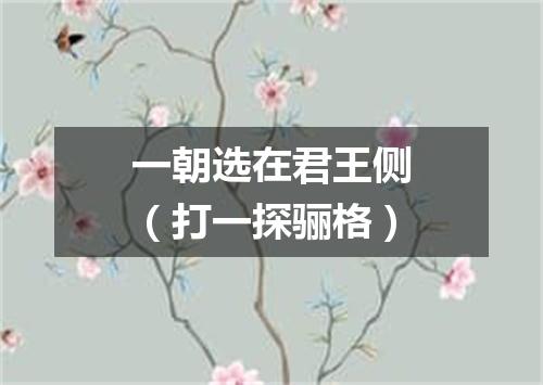 一朝选在君王侧（打一探骊格）