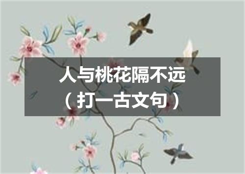 人与桃花隔不远（打一古文句）