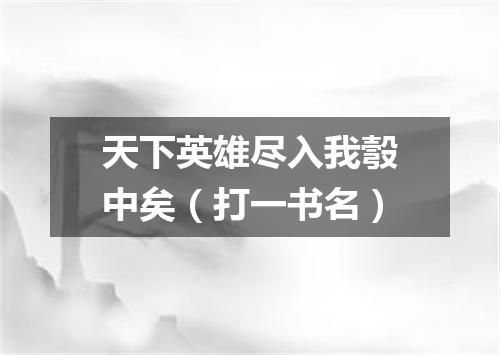 天下英雄尽入我彀中矣（打一书名）