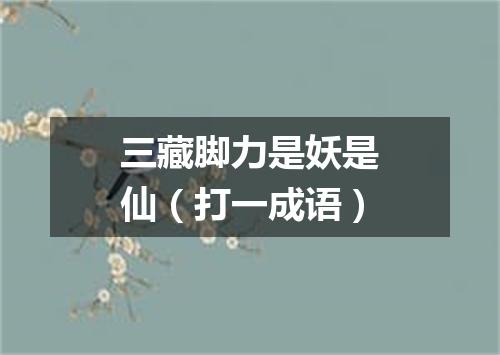 三藏脚力是妖是仙（打一成语）