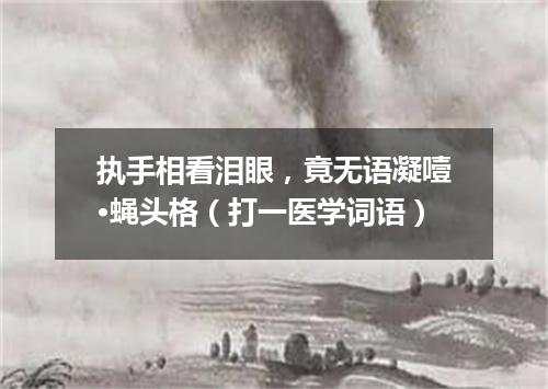 执手相看泪眼，竟无语凝噎·蝇头格（打一医学词语）