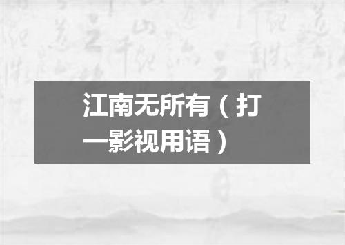 江南无所有（打一影视用语）