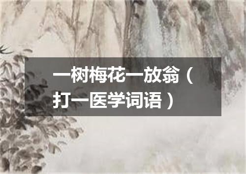 一树梅花一放翁（打一医学词语）