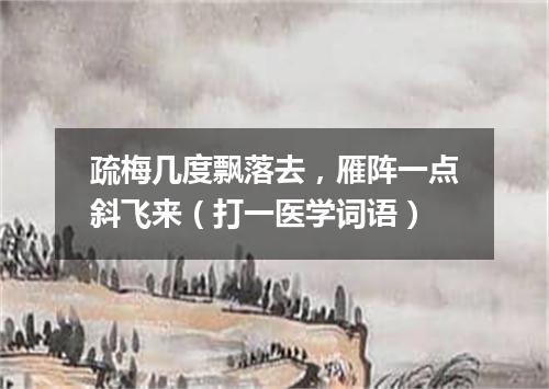 疏梅几度飘落去，雁阵一点斜飞来（打一医学词语）