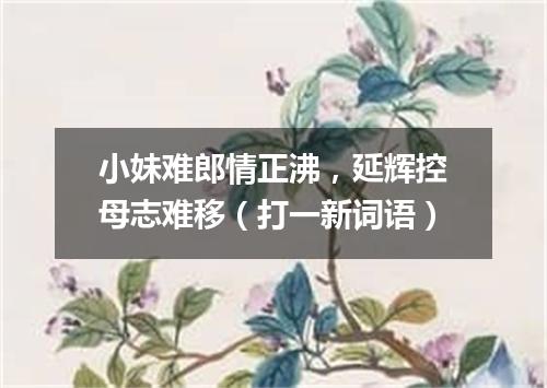 小妹难郎情正沸，延辉控母志难移（打一新词语）