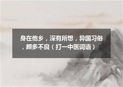 身在他乡，深有所想，异国习俗，颇多不良（打一中医词语）