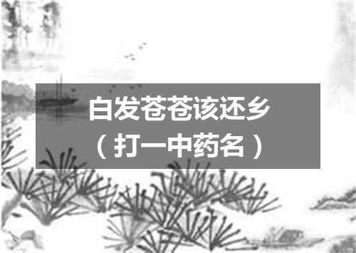 白发苍苍该还乡（打一中药名）