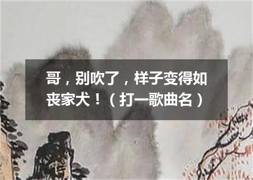 哥，别吹了，样子变得如丧家犬！（打一歌曲名）