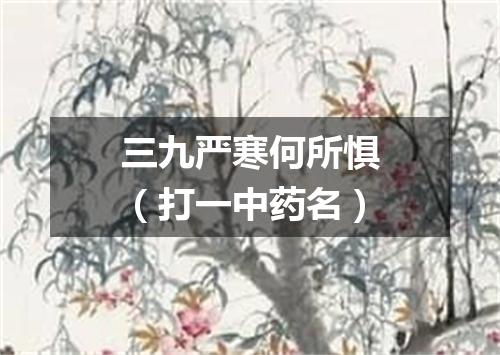 三九严寒何所惧（打一中药名）