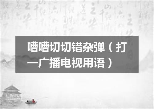 嘈嘈切切错杂弹（打一广播电视用语）