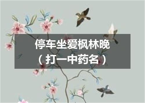 停车坐爱枫林晚（打一中药名）