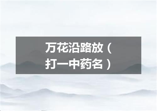 万花沿路放（打一中药名）