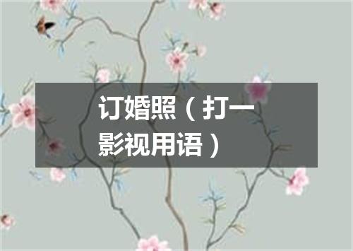 订婚照（打一影视用语）