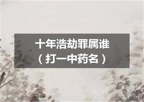 十年浩劫罪属谁（打一中药名）