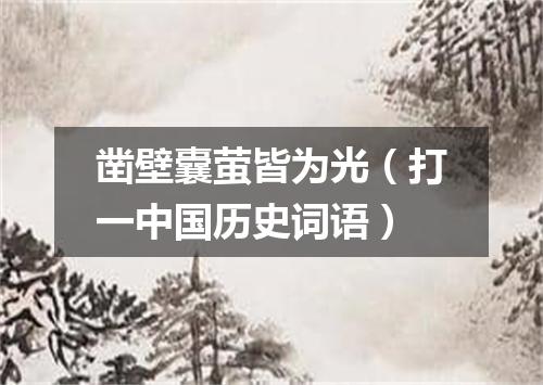 凿壁囊萤皆为光（打一中国历史词语）