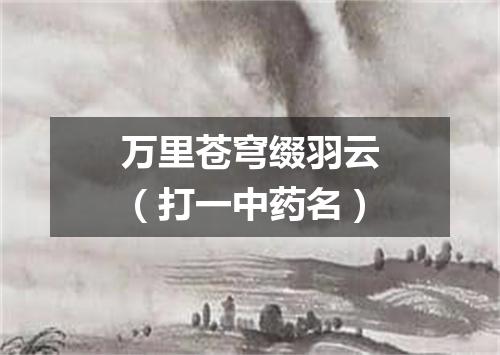 万里苍穹缀羽云（打一中药名）