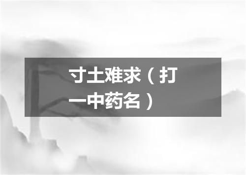 寸土难求（打一中药名）