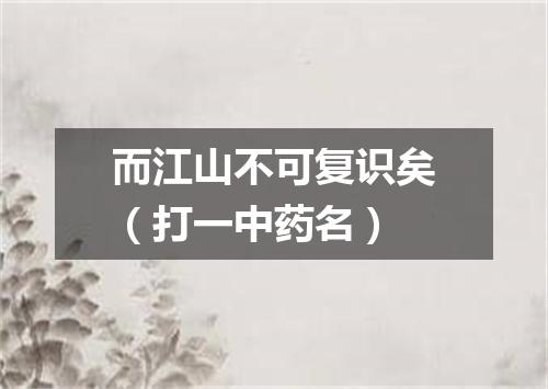 而江山不可复识矣（打一中药名）