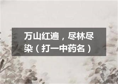 万山红遍，尽林尽染（打一中药名）
