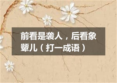 前看是袭人，后看象颦儿（打一成语）