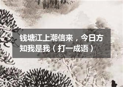 钱塘江上潮信来，今日方知我是我（打一成语）