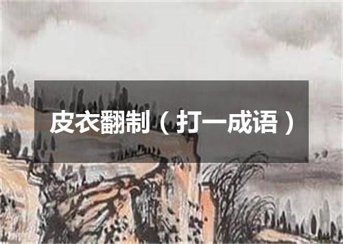 皮衣翻制（打一成语）