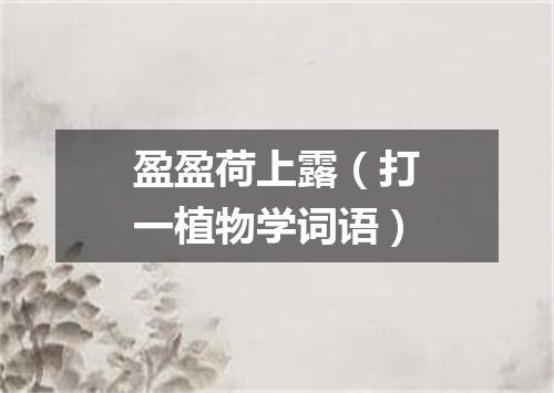 盈盈荷上露（打一植物学词语）