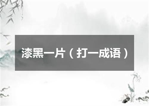 漆黑一片（打一成语）