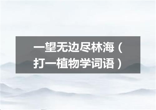 一望无边尽林海（打一植物学词语）