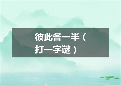 彼此各一半（打一字谜）
