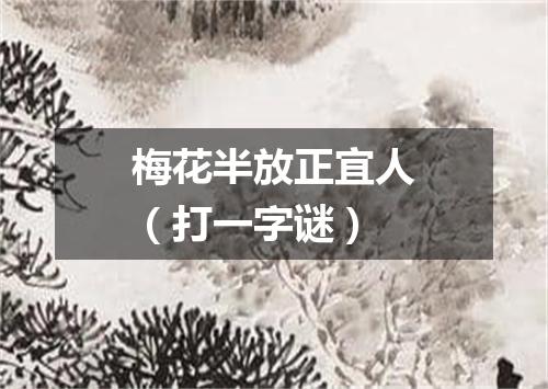 梅花半放正宜人（打一字谜）
