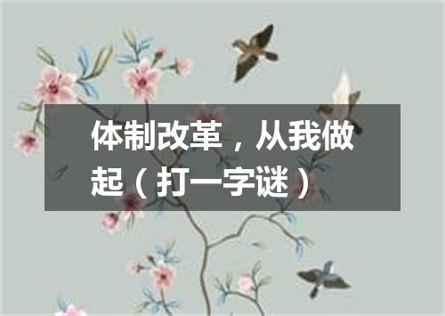 体制改革，从我做起（打一字谜）
