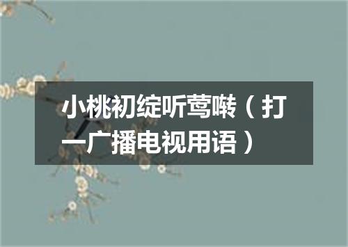 小桃初绽听莺啭（打一广播电视用语）