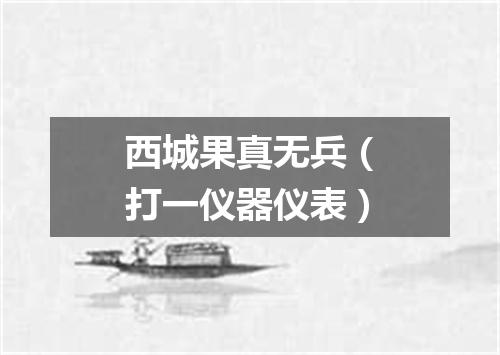 西城果真无兵（打一仪器仪表）