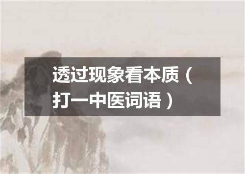 透过现象看本质（打一中医词语）