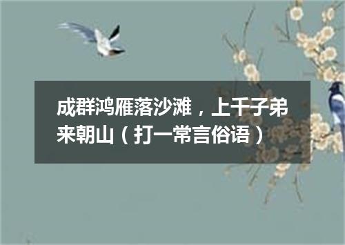 成群鸿雁落沙滩，上千子弟来朝山（打一常言俗语）