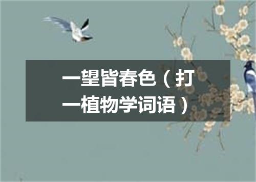 一望皆春色（打一植物学词语）