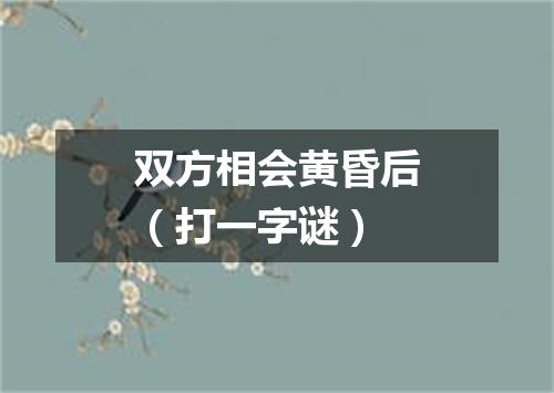 双方相会黄昏后（打一字谜）