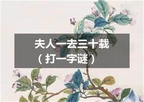 夫人一去三十载（打一字谜）