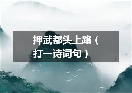 押武都头上路（打一诗词句）