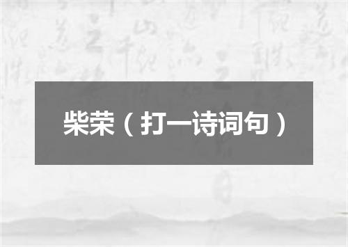 柴荣（打一诗词句）