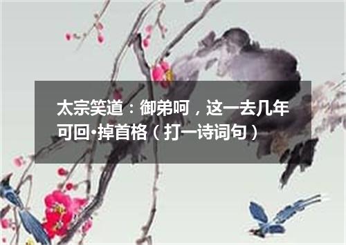 太宗笑道：御弟呵，这一去几年可回·掉首格（打一诗词句）