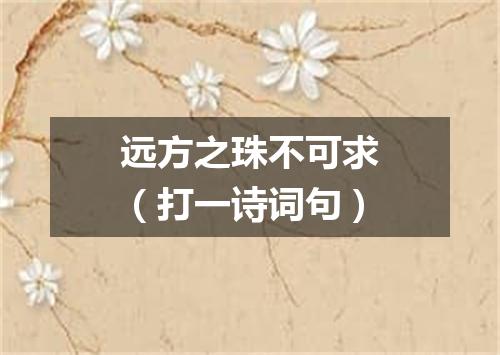远方之珠不可求（打一诗词句）