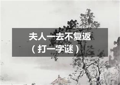 夫人一去不复返（打一字谜）