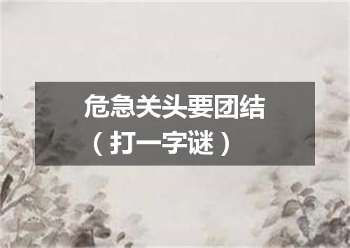 危急关头要团结（打一字谜）