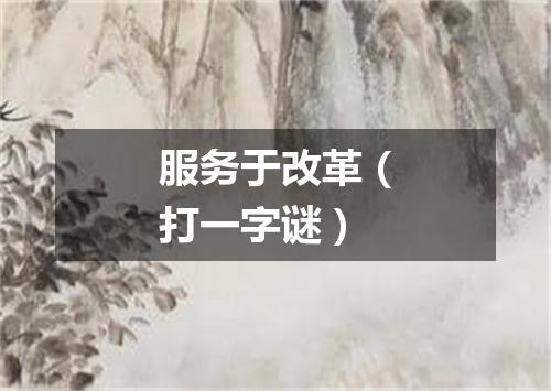 服务于改革（打一字谜）