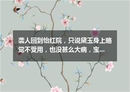 袭人回到怡红院，只说黛玉身上略觉不受用，也没甚么大病，宝玉才放了心（打一报刊名）