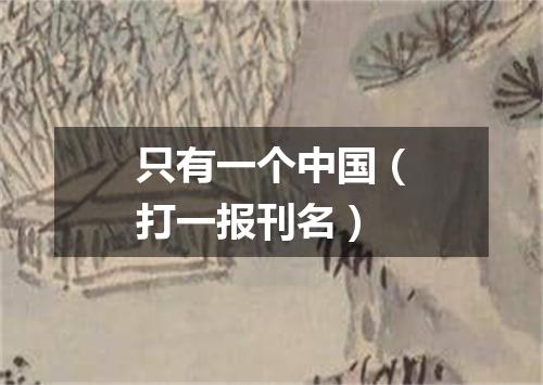 只有一个中国（打一报刊名）