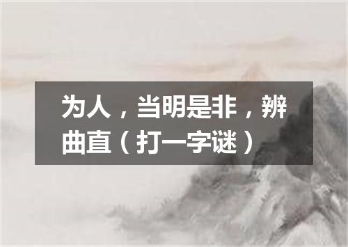 为人，当明是非，辨曲直（打一字谜）