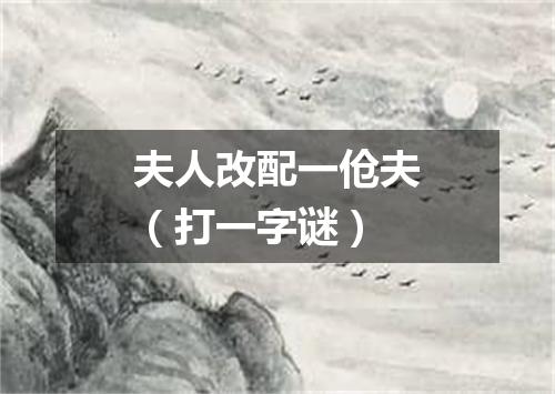 夫人改配一伧夫（打一字谜）